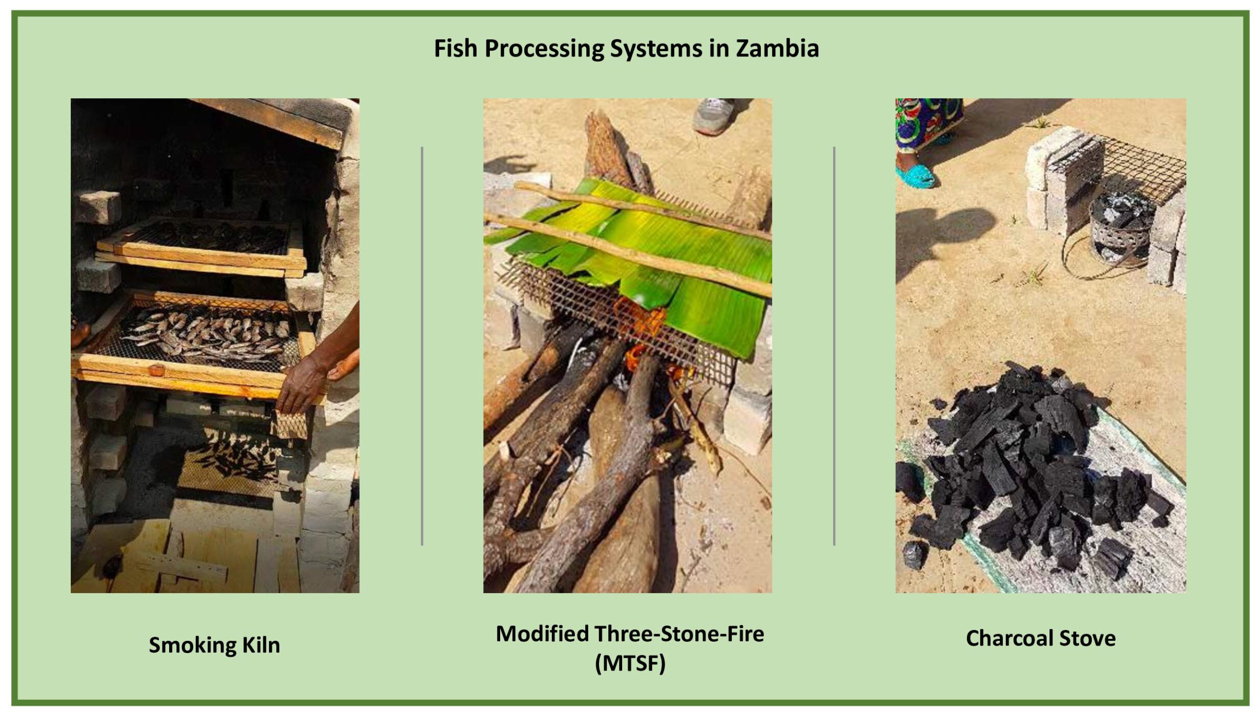 Fish-Processing-Systems