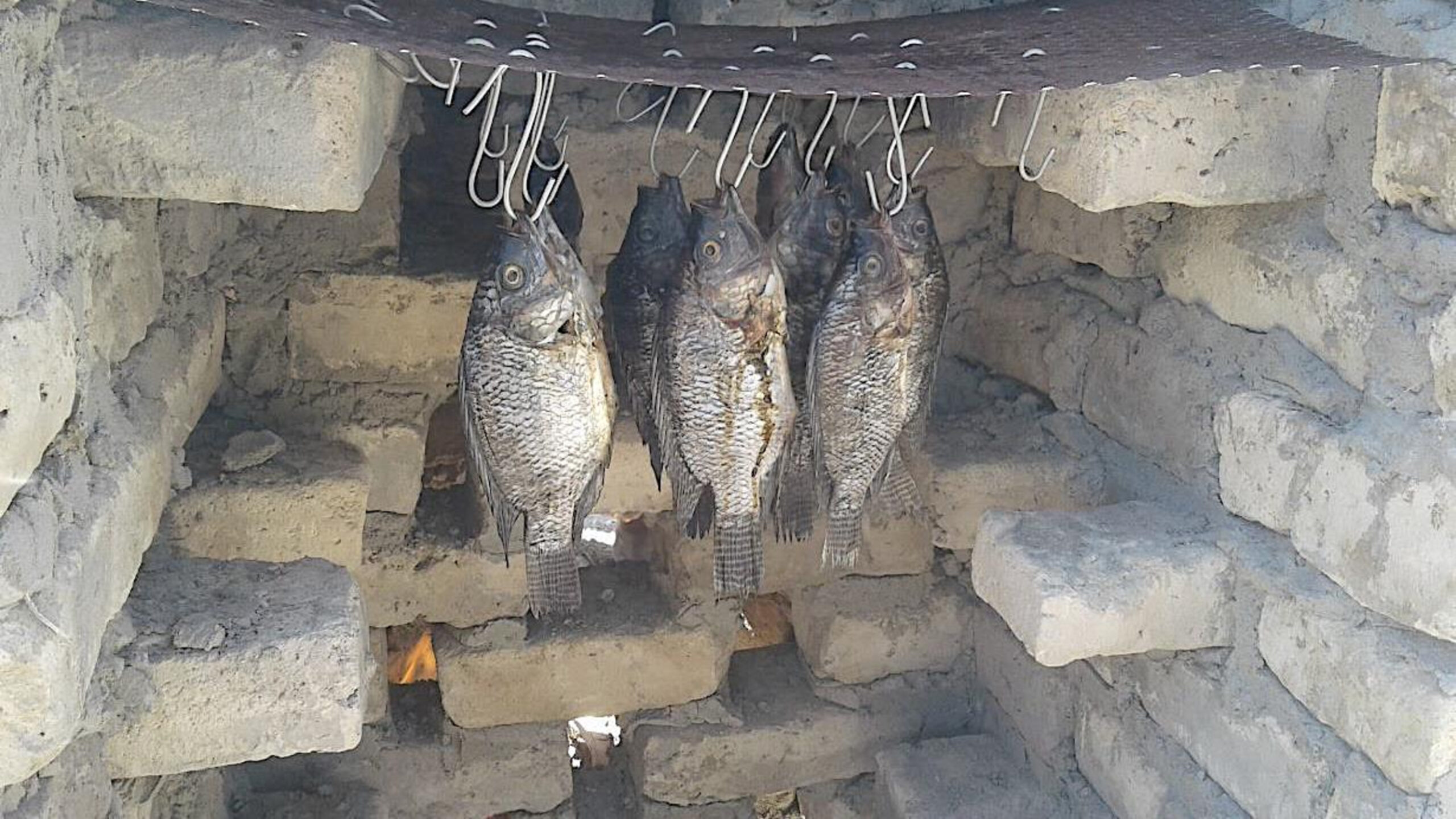 Fish-Smoked-in-a-Kiln